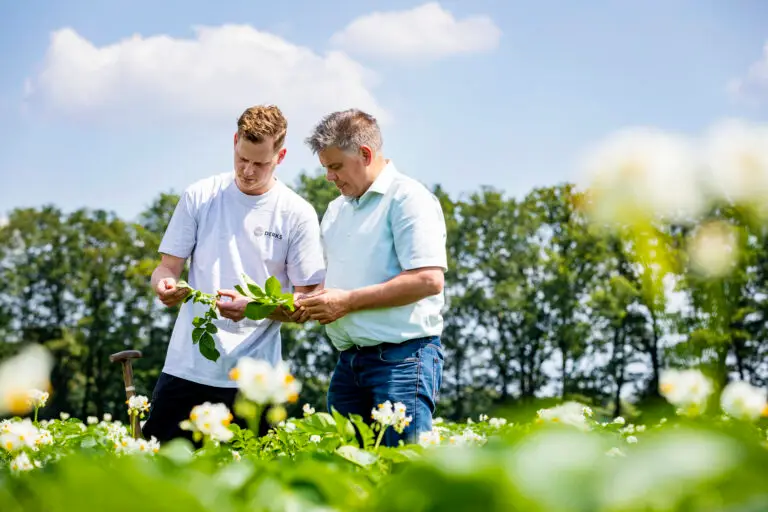 Aviko-in the field-grower-HR-0057